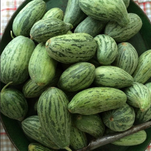 10+ Adet Badem Acur Tohumu