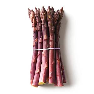 10+ Adet Geleneksel Mor Ku�konmaz Tohumu- �zel T�r