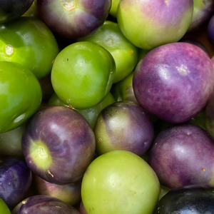 10+ Adet Kar���k Alt�n �ilek Tohumu - Mor ve Ye�il Tomatillo Tohumu