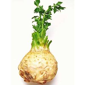 200+ Adet K�k Kereviz Sebzesi Tohumu- Geleneksel