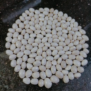 10+ Adet S�r�k �eker Atal�k Yerli Fasulye Tohumu