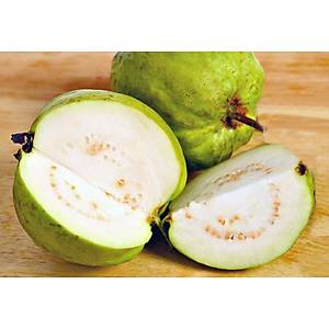 5 Adet Tropik Armut Guava Meyvesi Tohumu- Beyaz Meyveli