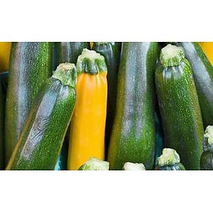 �talyan Zucchini Sar� ve Ye�il Kabak Tohumu