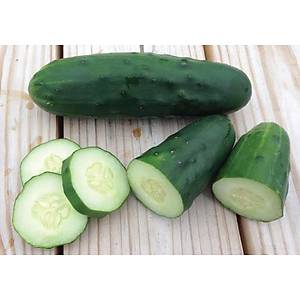 10+ Adet Marketmore76 Salatal�k Tohumu