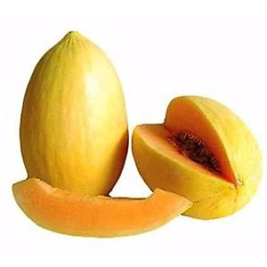 10+ Adet Crenshaw Bal Kavun Tohumu- D�nyan�n En Tatl� Kavun T�rlerinden