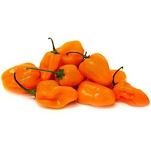 10+ Adet Turuncu Habanero �ok Ac� Biber Tohumu- D�nya'n�n En Ac� Biber T�rlerinden