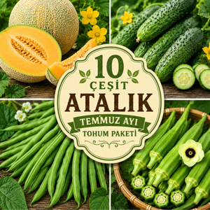 10 Farkl� T�rde Atal�k Temmuz Ay� ��in Tohum Paketi- 635+ Adet Tohum