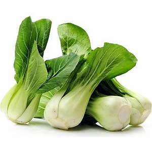 100+ adet Bebek Beyaz �in Lahanas� Tohumu- Pak Choy Tohumu