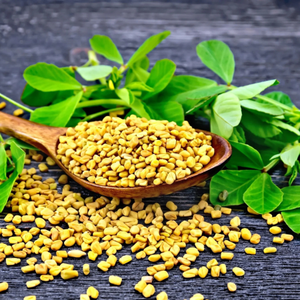 50+ Adet  Geleneksel �emen Otu Tohumu- Fenugreek