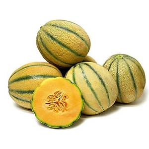 10+ Adet Geleneksel �talyan Toskana Kavun Tohumu