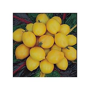 10+ Adet Limon Domates Tohumu- S�r�k Tipi-Geleneksel