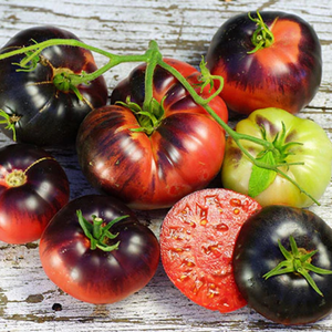 10+ Adet Mavi G�zellik Domates Tohumu - Geleneksel