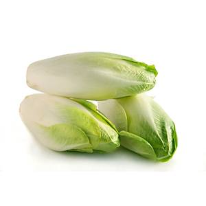 250+ Adet Geni� Yaprakl� Endiv- Frenk Salatas� Tohumu