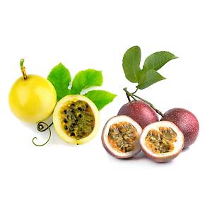 6 Adet Passiflora Edulis  Sarma��k Tohumu- Sar� ve Mor Meyveli