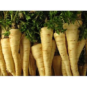 250 Adet Geleneksel Hamburg K�kl� Maydanoz Tohumu