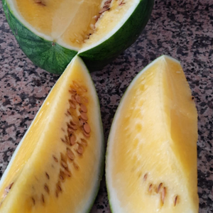 10+ Adet  Sar� meyveli  K��l�k Karpuz Tohumu
