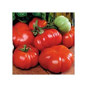 �talyan Domatesi Tohumu- S�r�k Tipi Domates- Geleneksel