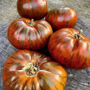 10+ Adet �izgili �ikolata  Domates Tohumu- S�r�k Tipi Domates