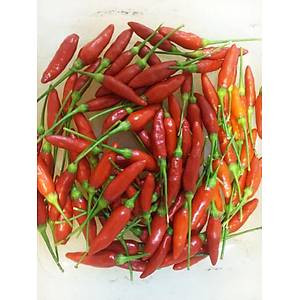 Tabasco Ac� Biber Tohumu- Soslar�n Vazge�ilmezi