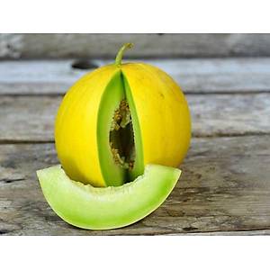 10+ Adet Ye�il Meyveli Tatl� Kavun Tohumu