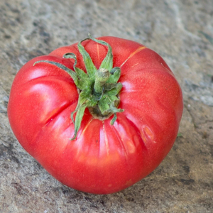 10+ Adet Bulgar Pembesi Domatesi Tohumu- Geleneksel
