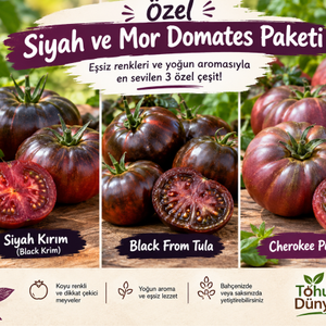 D�nyan�n En �yi 3 Siyah ve Mor Domatesi Tohumu - 30+ Tohum - S�n�rl� Stok
