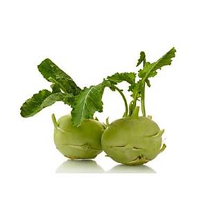 100+ Adet Beyaz Kohlrabi- Alaba� Tohumu- Diyet Dostu Sebze
