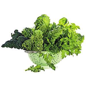 12 Farkl� T�rde Atal�k Ye�illik  Tohum Paketi- 1700+ Adet Tohum