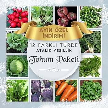 12 Farkl Trde Atalk Klk  Sebze ve Yeillik Tohum Paketi- 1500+ Adet Tohum