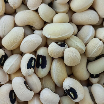 10+ Adet  Karag�z B�r�lce Tohumu - Geleneksel