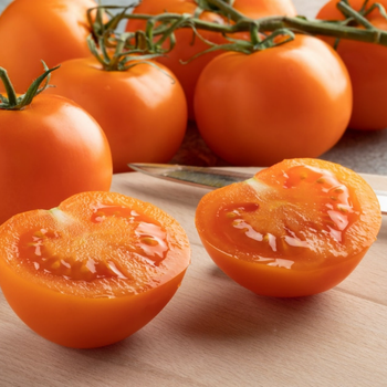 10+ Adet Valencia Domates Tohumu - Geleneksel