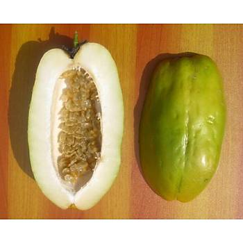3 Adet Passiflora Quadrangularis Sarmak Tohumu- Dev Meyveli