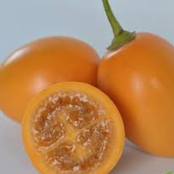 5 Adet Turuncu Tamarillo Domates A�ac� Tohumu- Sadece Tohum D�nyas�nda