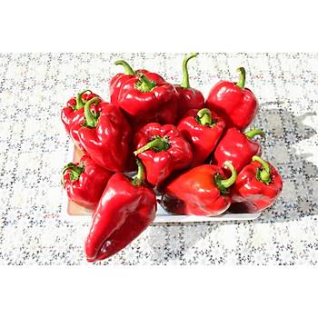 10+ Adet Abaza Biber Tohumu - Atal�k Tatl� biber