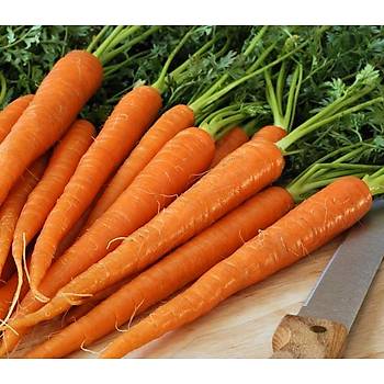 200+ Adet Tendersweet Sulu ve Gevrek Havu Tohumu