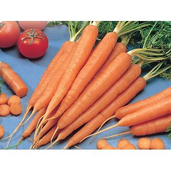 200+ Adet Tendersweet Sulu ve Gevrek Havu Tohumu