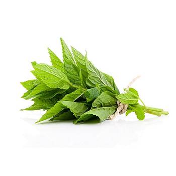 500+ Adet Nane Tohumu- Mentha Spicata