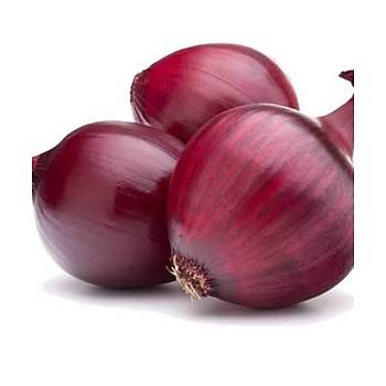 60+ Adet Red Burgundy K�rm�z� So�an Tohumu