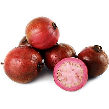 5 Adet Tropik �ilek Guava Meyvesi Tohumu