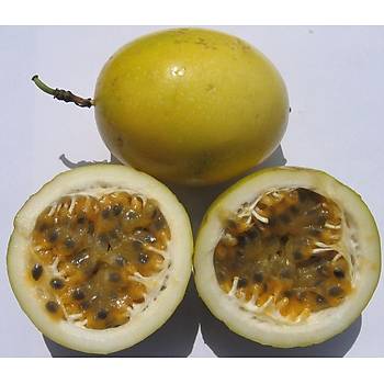 5 Adet Passiflora Flavicarpa Sarmak Tohumu- Sar Lezzetli Meyveler
