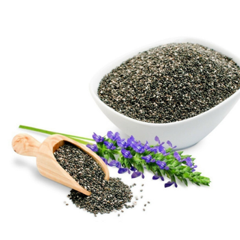 500+ Adet Atalk iya Tohumu - Salvia Hispanica
