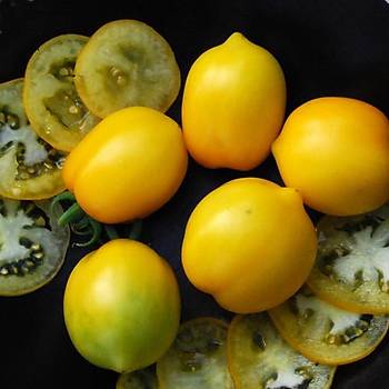 10+ Adet Limon Domates Tohumu- Srk Tipi-Geleneksel