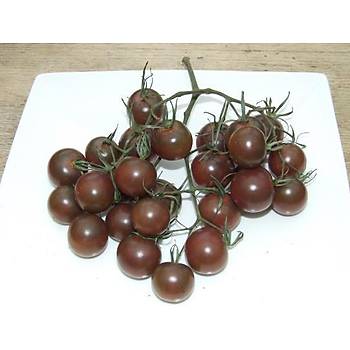 10+ Adet Domates Tohumu- �ikolata Kiraz Domates- S�r�k Tipi Domates