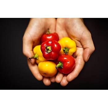 Mini Sar� Renkli Tatl� Dolmal�k Biber Tohumu