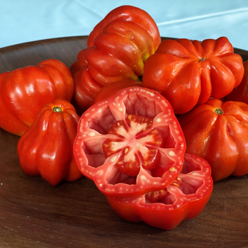 10+ Adet �tallyan Canestrino Di Lucca Domates Tohumu - Atal�k T�r
