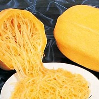5 Adet Diyet Dostu Spagetti Kabak Tohumu