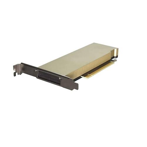 Dell Nvidia L4 Ada 24 GB Passive 72W Low Profile GPU Ekran Kart� V9XT2 0NG3PY