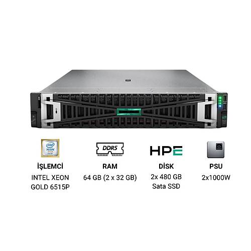 HPE DL380 G12 XEON GOLD 6515P 2X32GB 2X480GB 8 SFF 2P 10G BASE-T 2X1000W P89965-425