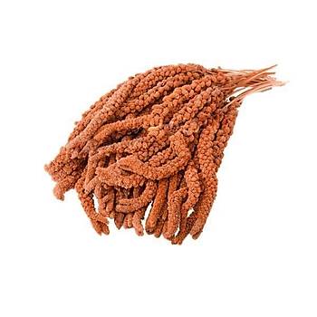 Krmz Dal Dar 1 Kg