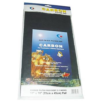 Karbon Sünger 25x45 cm